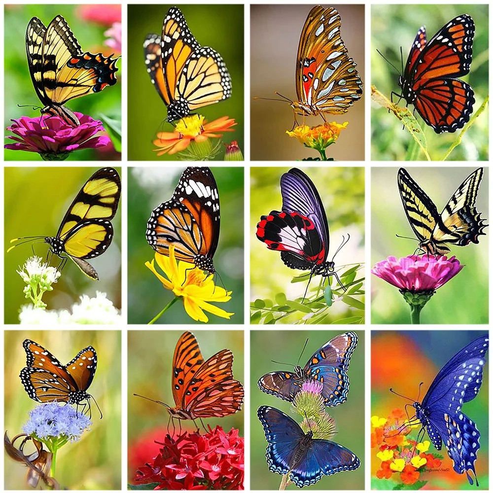 

Round Drill Diamond Painting 5D Butterfly New Arrival Diamond Art Embroidery Flowers Home Decoration