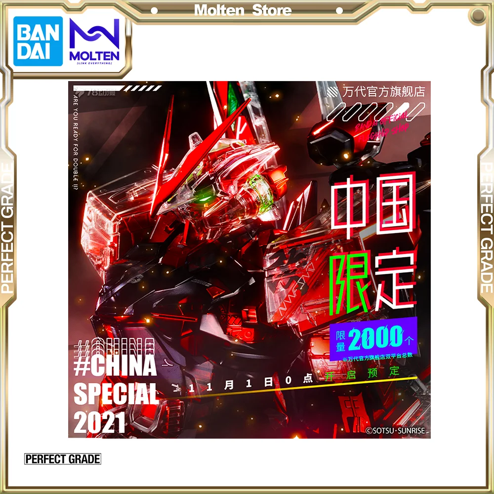 BANDAI оригинальный PB PG 1/60