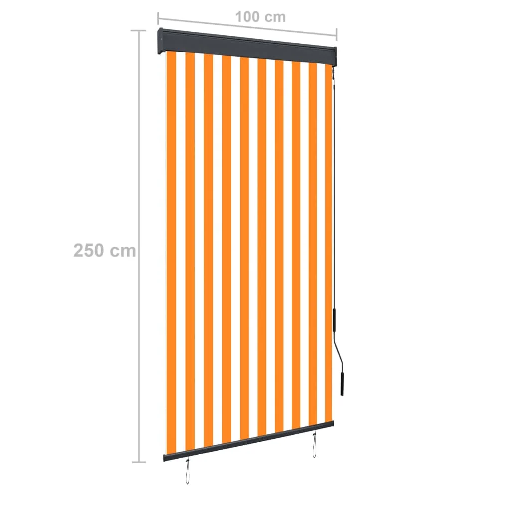 

100x250