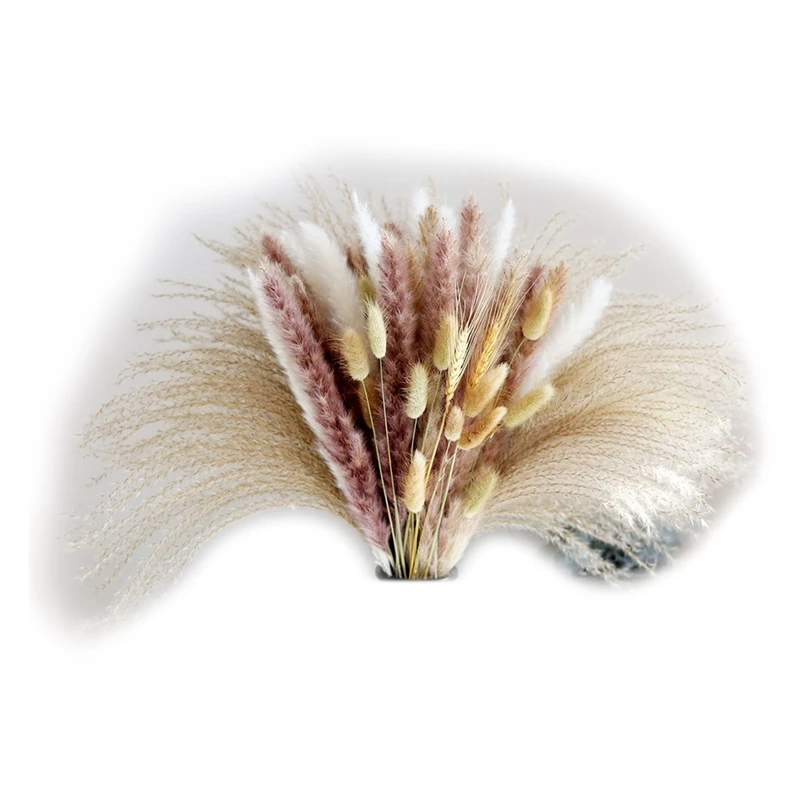 

67Pcs Natural Dried Pampas Grass, Pampas Grass Decor Pampas Floral For Flower Arrangements Home, Office, Wedding Decor