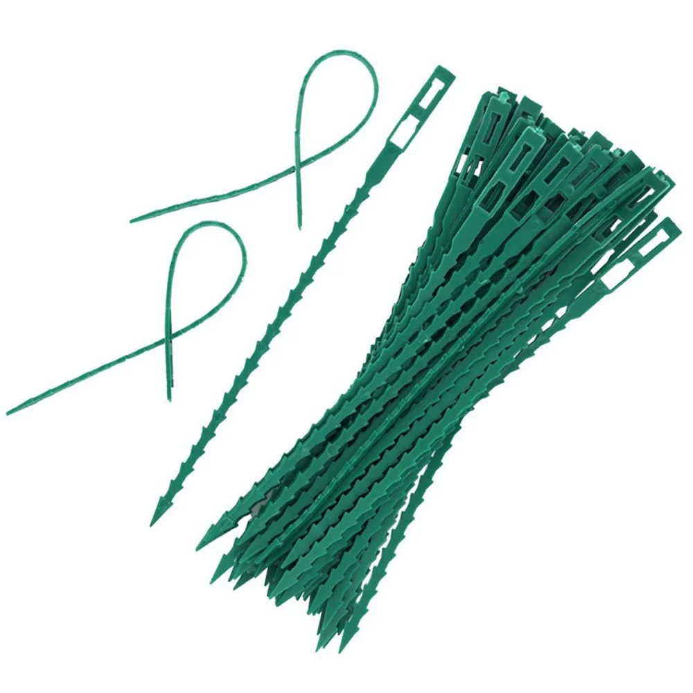 Description Picture 4 of item50 Pcs/set 13cm/17cm/23cm Reusable Garden Plant Fixed Belt Ties Plastic Adjustable Garden Plant Tying Band Tools