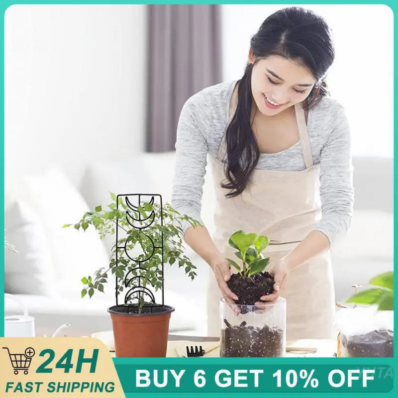 

Поддержка увеличения зачистки от земли защита растений клеток и поддержка цветов