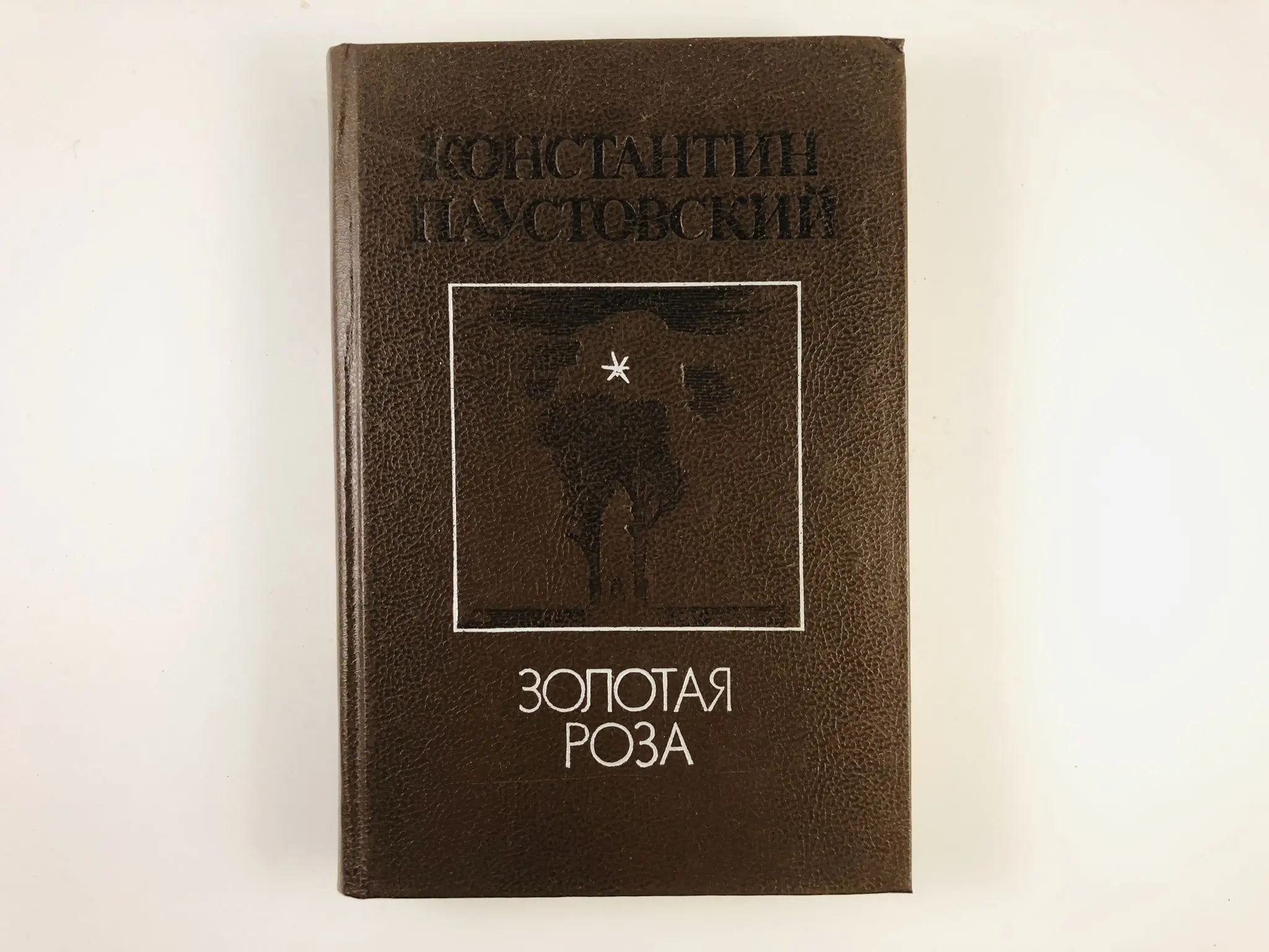 Паустовский телеграмма обложка книги. Рассказ телеграмма паустовский. Телеграмма паустовский иллюстрации. Паустовский «телеграмма». К.