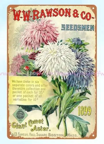 1899 семян астры луковицы кустарники садоводство W.W. Металлический оловянный стен