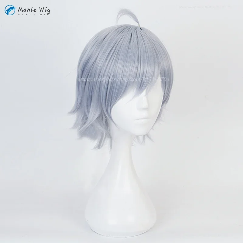 Аниме Серебряный Парик Для Косплея Короткие Серые Парики Термостойкие