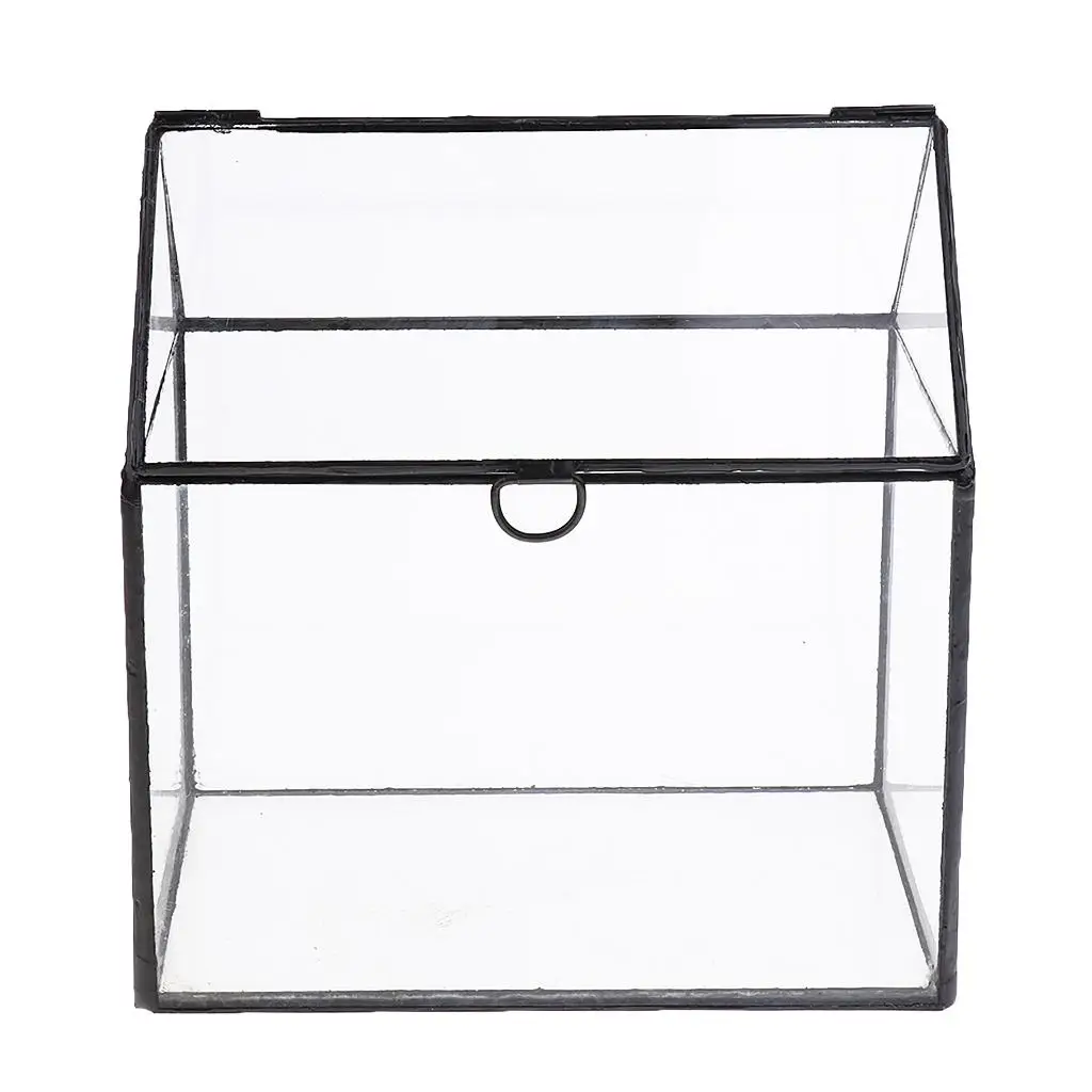 

Прозрачный стеклянный геометрический терракотовый плантатор с крышей