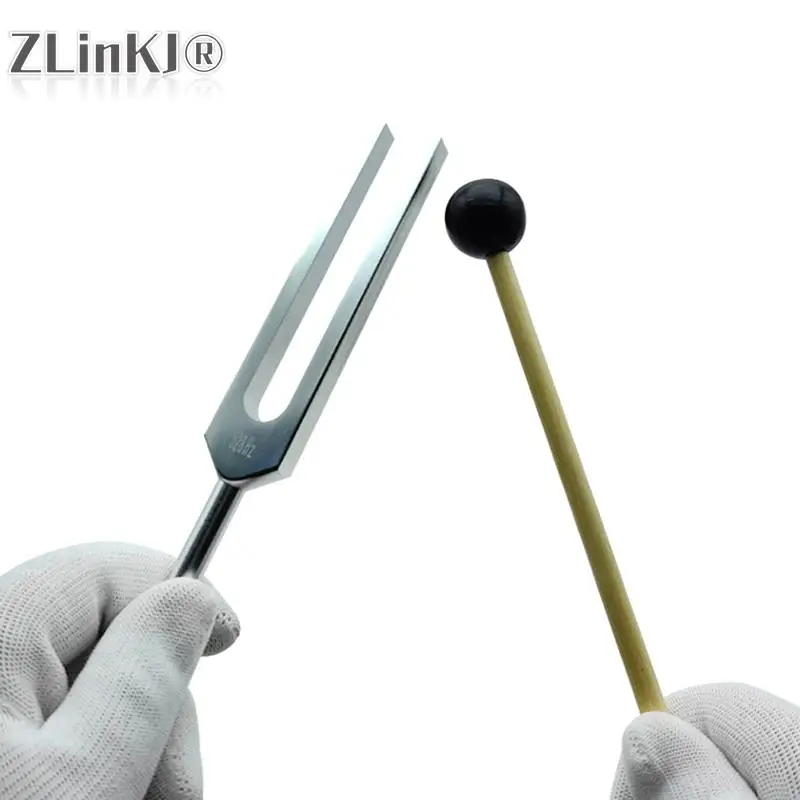 

Tuning Fork 528C 528HZ Mi528 Tuner with Mallet Set for DNA Repair Healing Nervous System Testing Tuning Fork Health Care