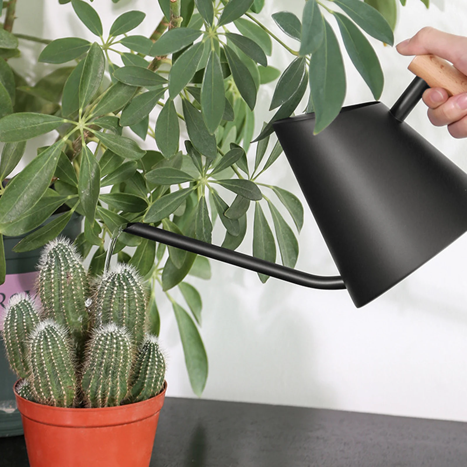 

Чайник для полива растений с деревянной ручкой, 900 мл