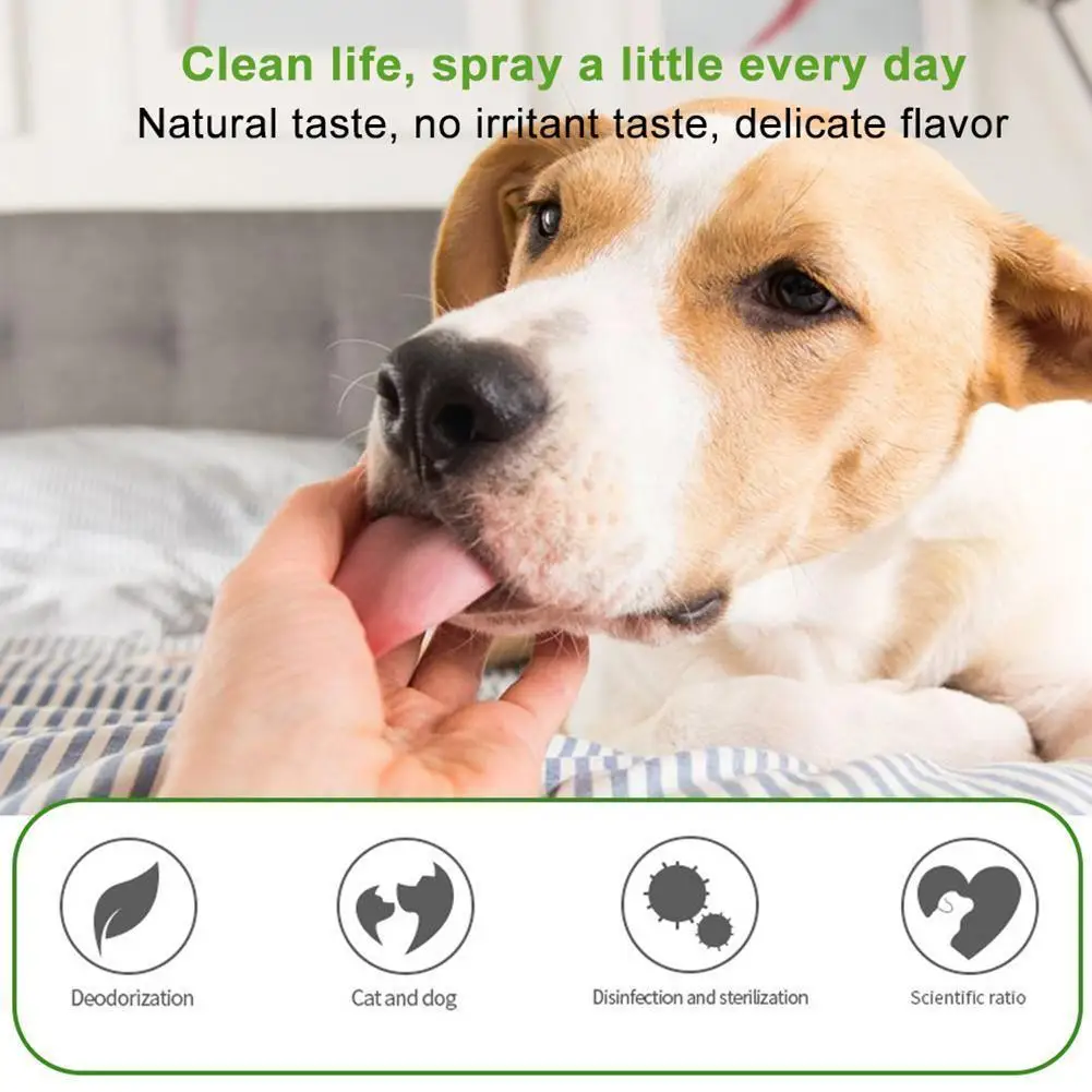 carpet odor eliminator diy