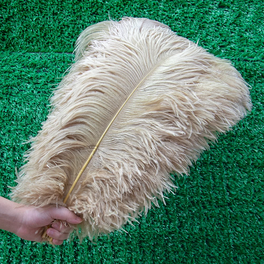 

Ostrich feather