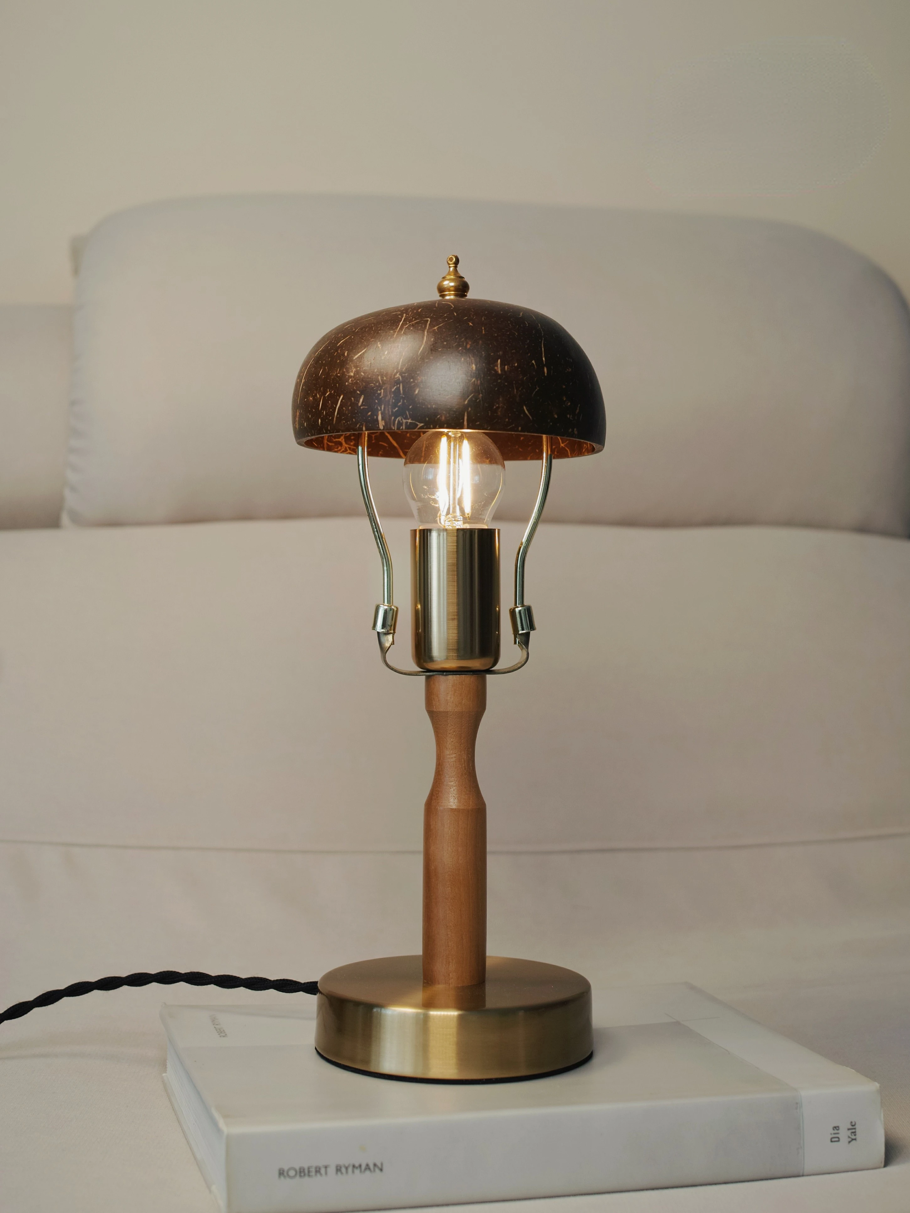 

Nordic Retro Coconut Shell Bedside Table Lamp Original Bedroom Living Room Guesthouse Decoration Decoration Ins Night Light