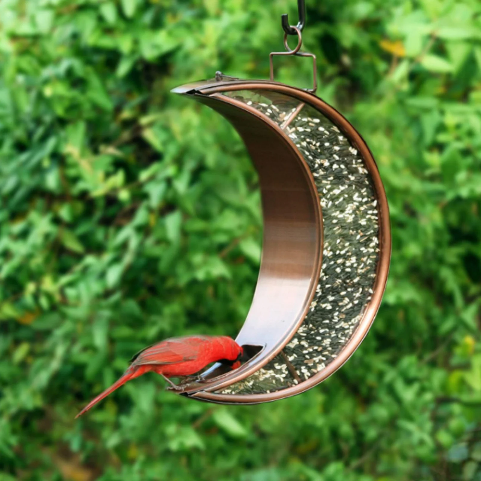 

Moon Bird Feeder Metal Garden Decoration Outdoor Ornament Bird Feeder Holder Home Garden Decor Copper Finish Water Resistant