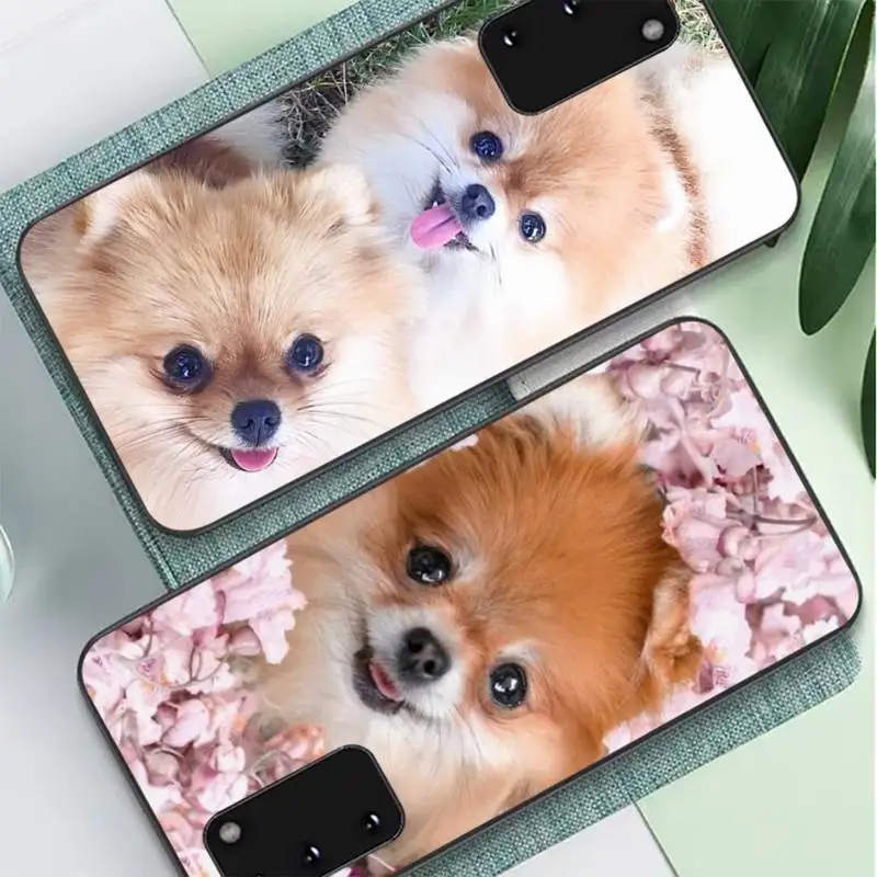 

FHNBLJ Pomeranian dogs cute Phone Case for Samsung A51 A30s A52 A71 A12 for Huawei Honor 10i for OPPO vivo Y11 cover