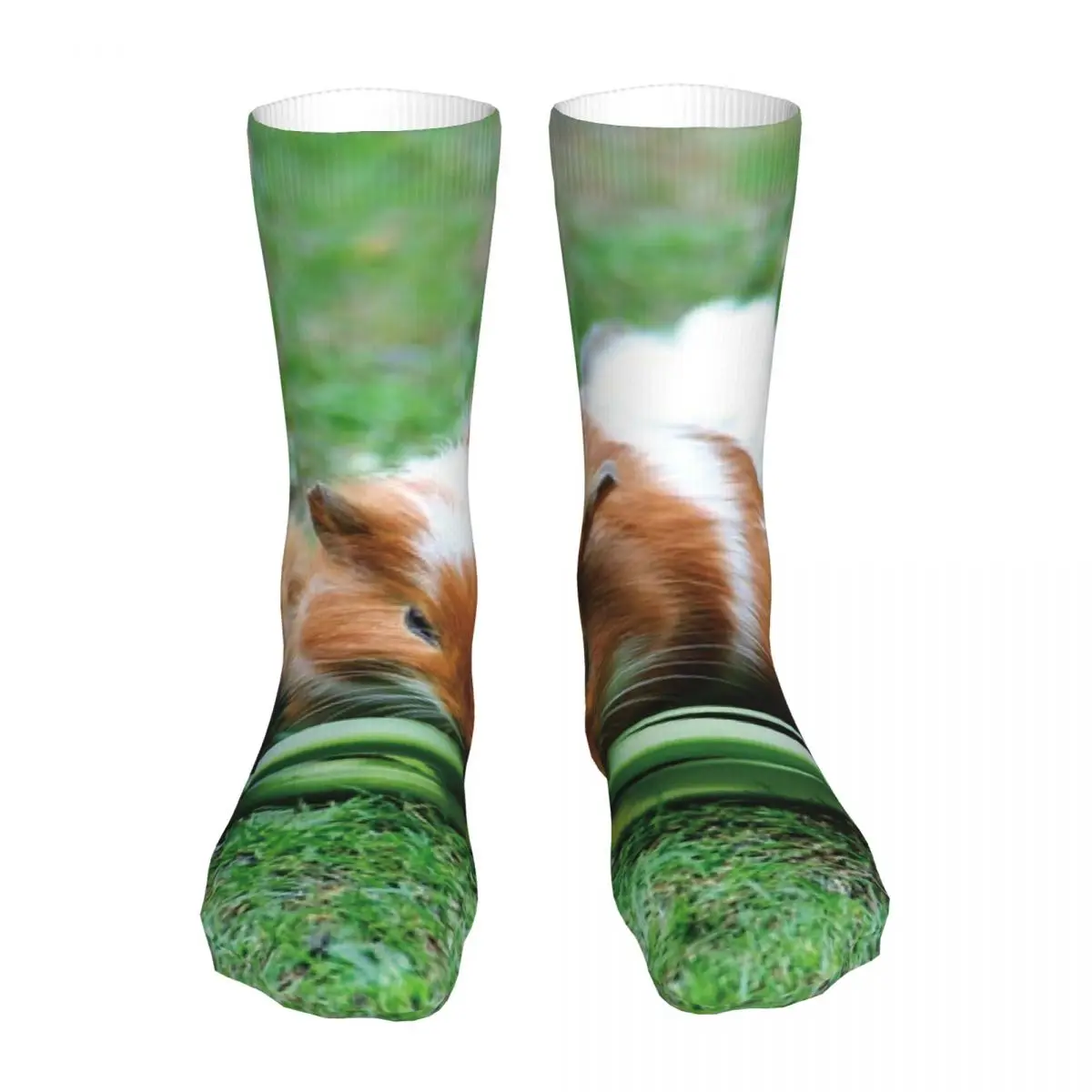 

Носки унисекс Зимние теплые плотные вязаные мягкие, с изображением морской свиньи