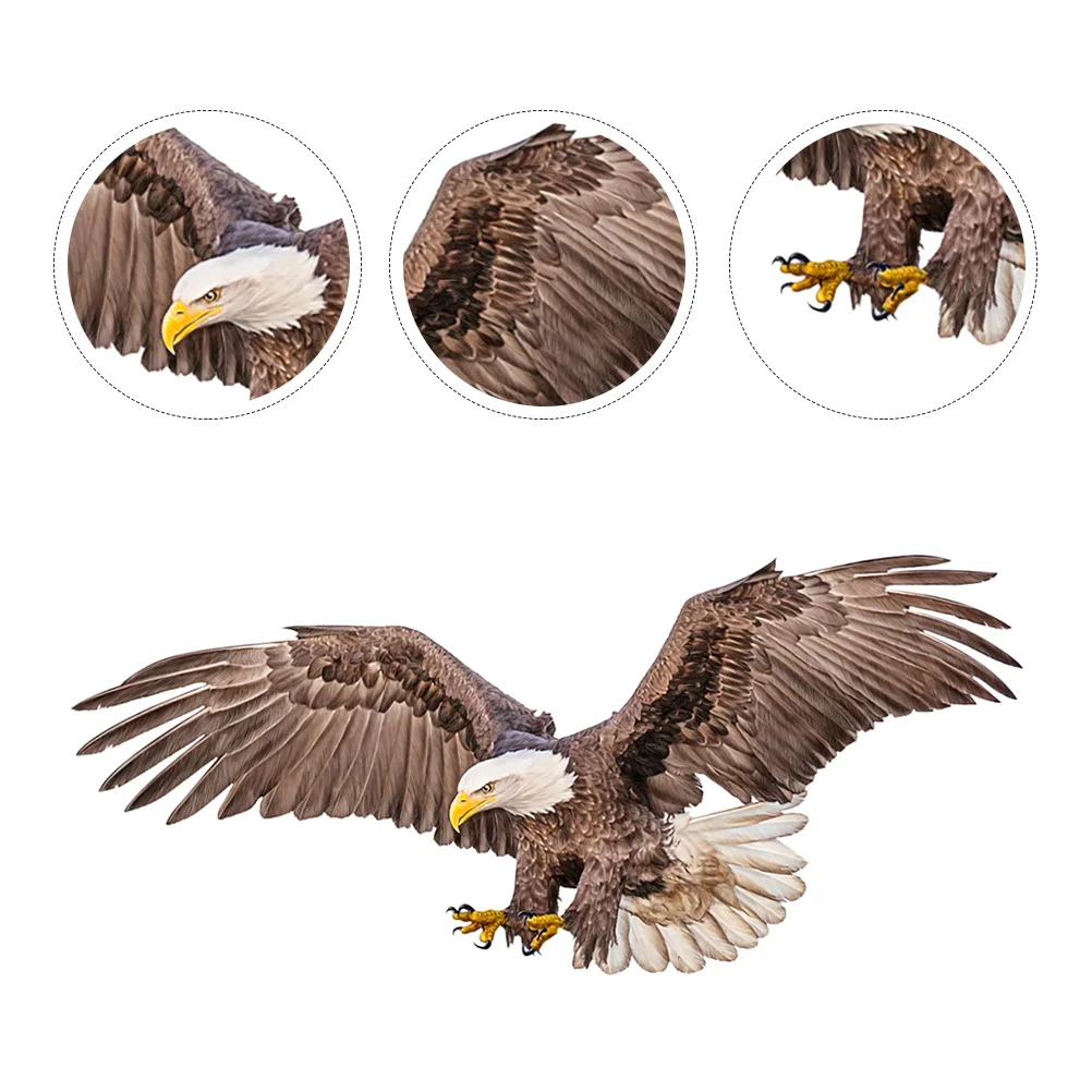 

Eagle Wall Sticker Self-adhesive Wall Decal Room Wall Sticker Farmhouse Wall Decor