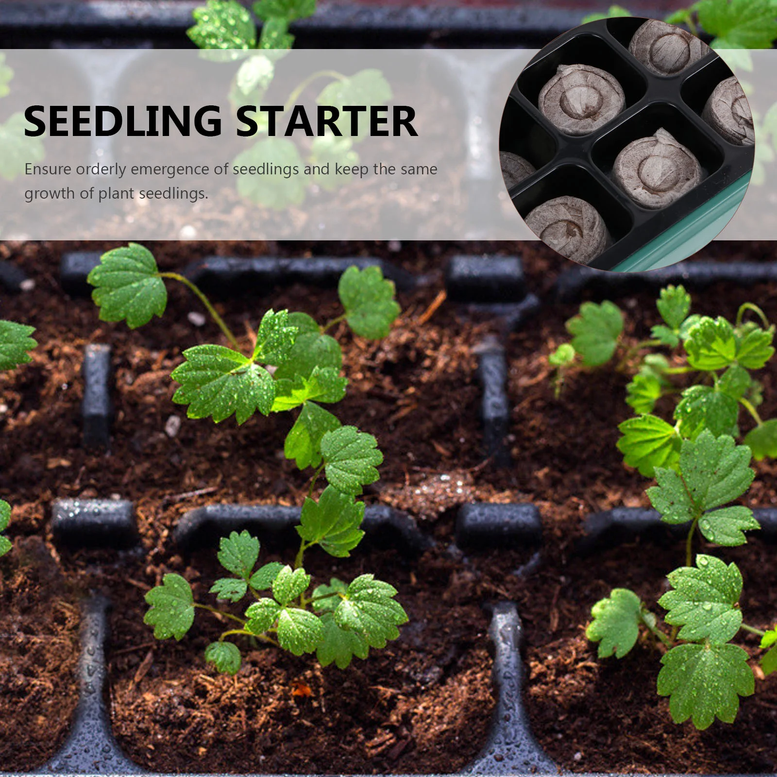 12 шт. детский пластиковый поднос для посадки растений