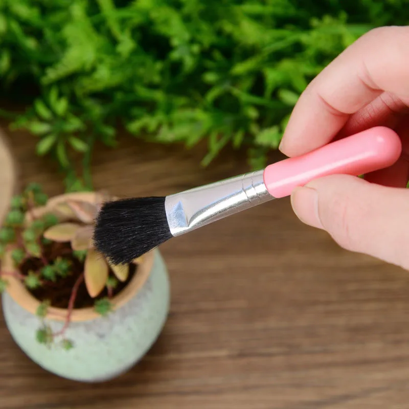 

Succulent Tools Gardening Soft Brush Plant Leaf Dust Cleaning Brush Cleaning Succulent Ash Removal Small Brush Gardening Tools