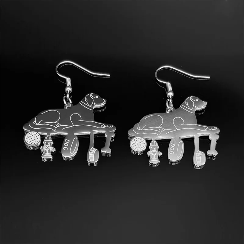 Серьги-подвески для женщин и мужчин из нержавеющей стали серебристого цвета
