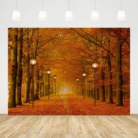mehofond autumn maple leaves fall photography backdrop street road nature scene supplies background photo studio photozone props