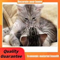 blanket warmth soft plush throws for couch funny cat kissing custom blanket huggle blanket store throw blanket