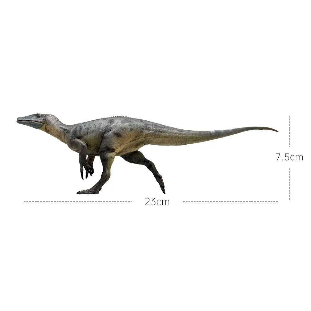 1:35 HAOLONGGOOD Модель динозавра Megaraptor древняя игрушка для беременных