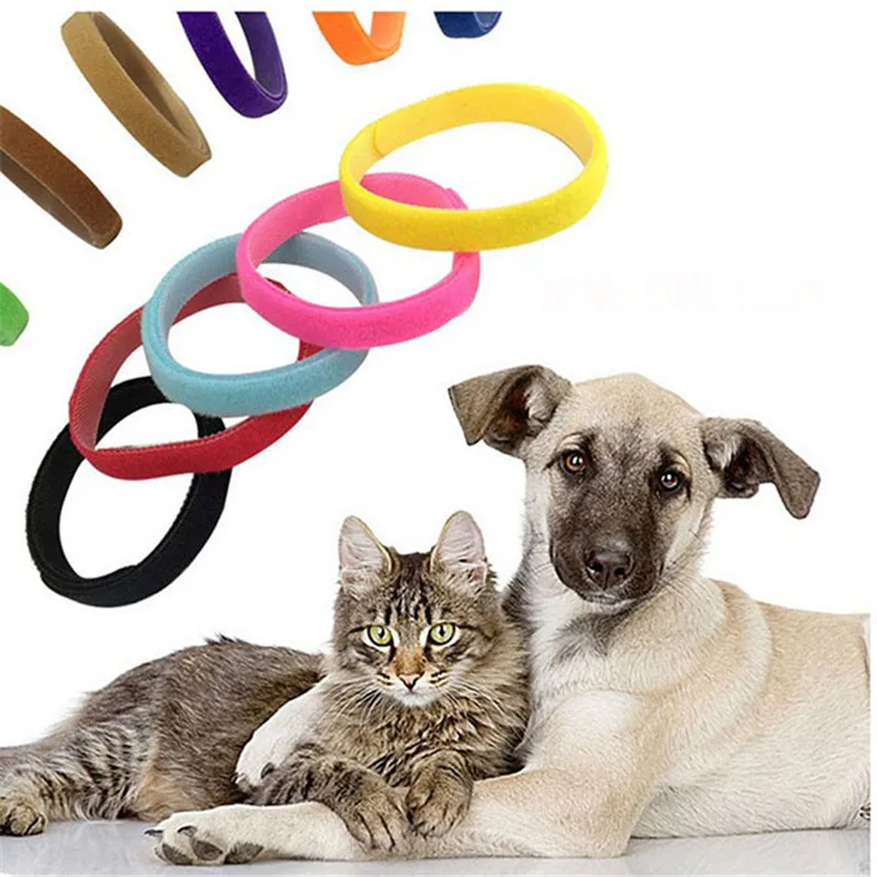 

Нейлоновый ошейник для собак, 12 цветов/упаковка