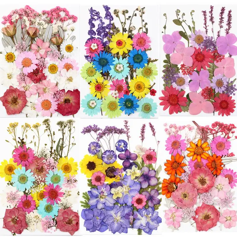 

1 Bag Colorful Dried Flower Plant For Aromatherapy Candle Epoxy Resin Pendant Necklace Jewelry Making Craft DIY Accessories