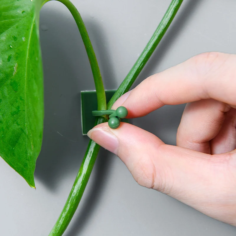 

Plant Climbing Support for Climbing Plants Hook Wall Home Self-Adhesive Garden Tool Plant Stand Indoor Clip Accessories Clips