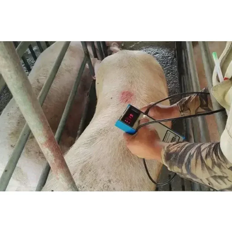 НОВОЕ оборудование для обнаружения жира со свиньей точный детектор критионов