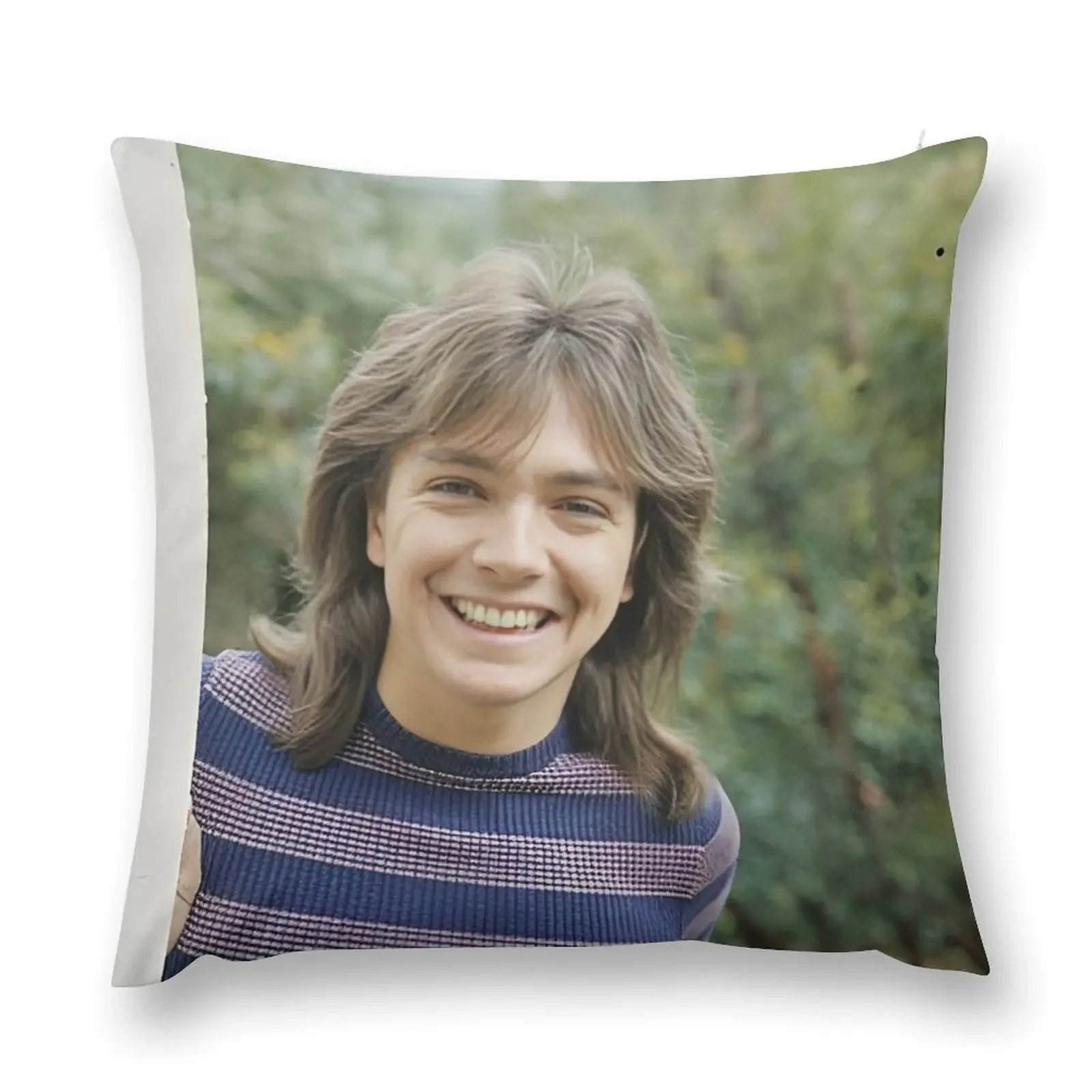 Дэвид Кассиди милая улыбка декоративная подушка чехол для дивана роскошные