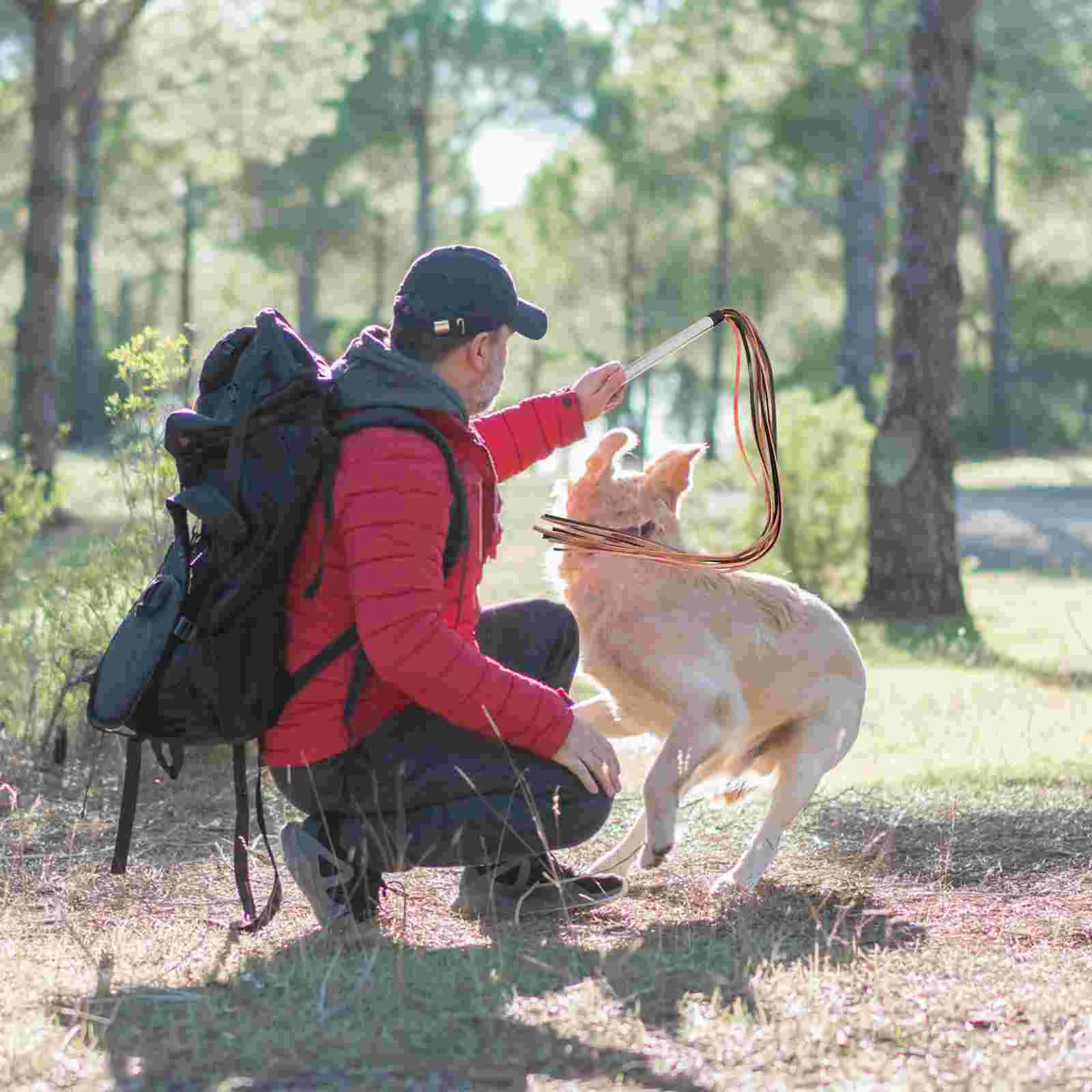 

Household Dog Training Whip Pet Command Training Tool Cat Dog Whip Supply