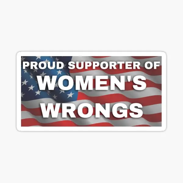 

I Support Womens Wrongs 5PCS Stickers for Stickers Wall Bumper Art Funny Living Room Cartoon Kid Water Bottles Decorations