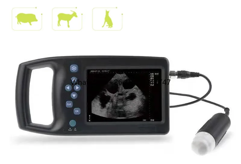 Ветеринарный фотоаппарат