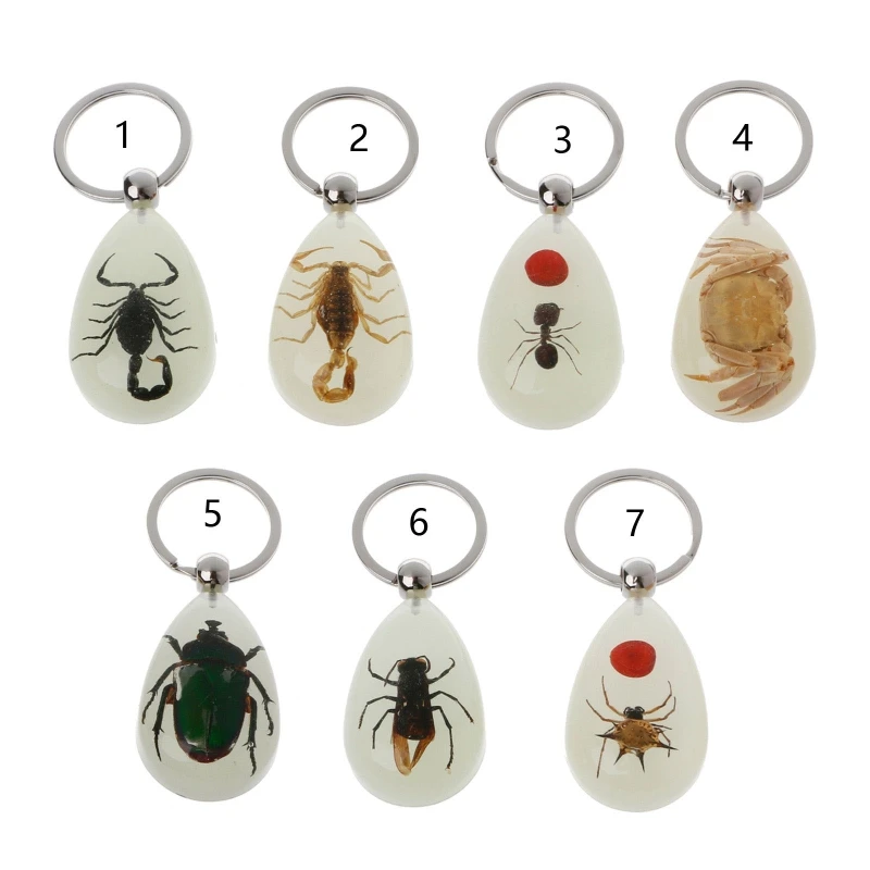 

Resin Insect Keychain Luminous Scorpion Insect Specimen Pendant Scenic Tourist Souvenirs Amber Keychain Trendy Jewelry
