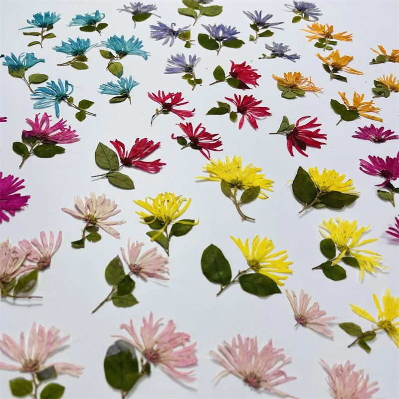 

1 Набор, цветок для рамы из эпоксидной смолы