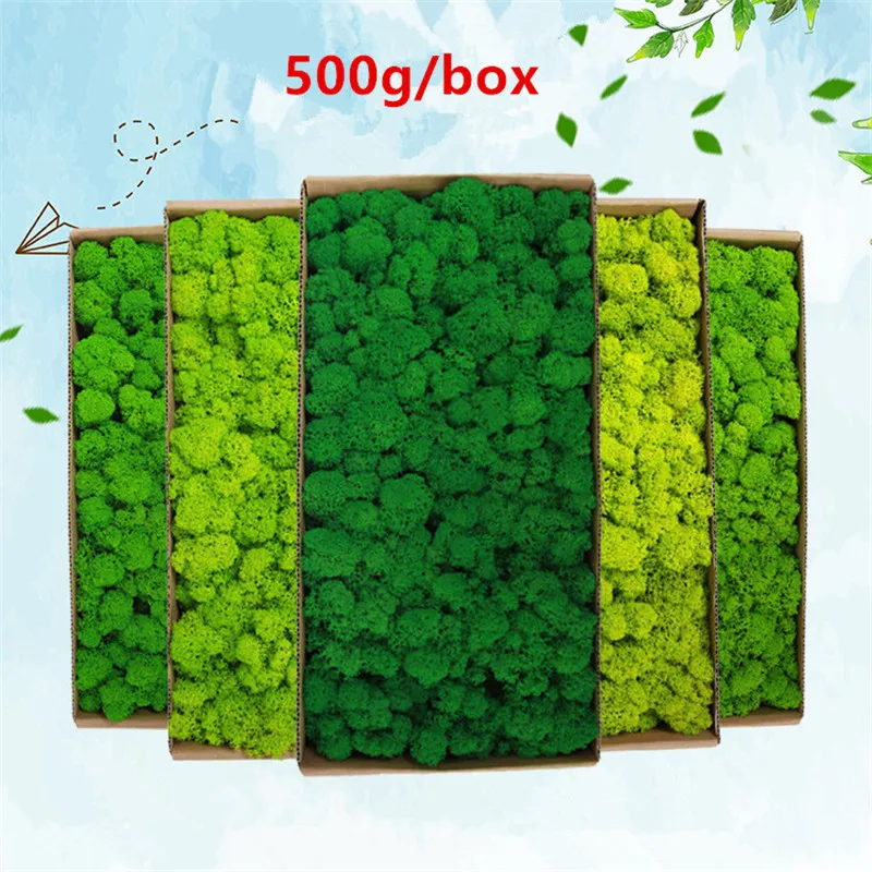 

500g/box Preserved fake Moss Wall Decoration No Maintenance Required artificial plants Office Home Garden Decor eternel moss