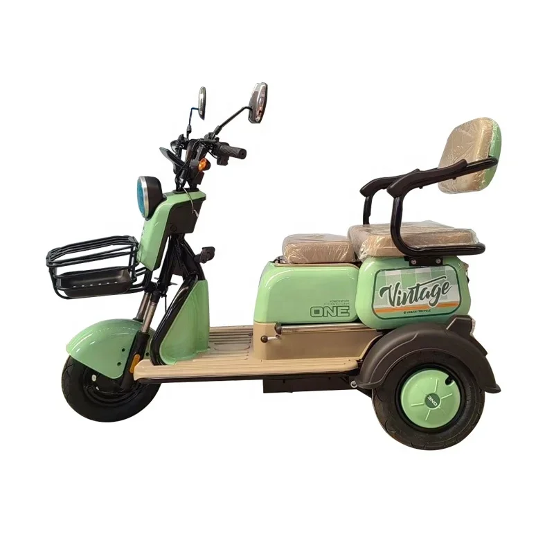 Новинка от производителя Двухместный трехколесный электрический мотоцикл 48 в 600