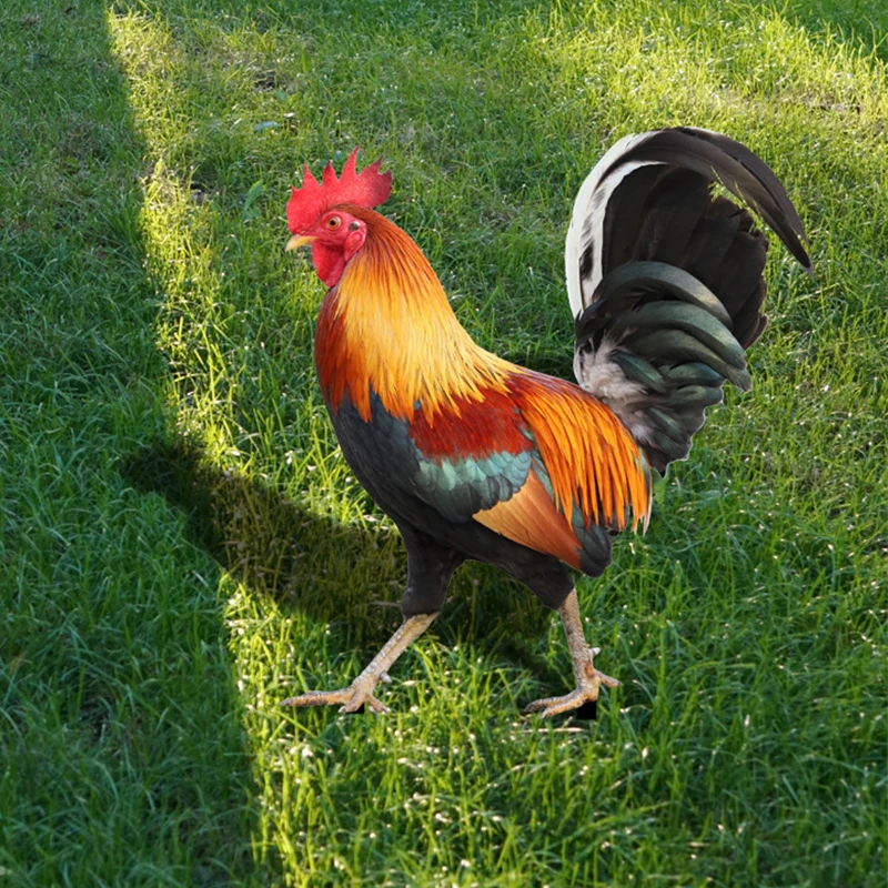 Статуэтка петуха курица декоративная акриловая для двора сада животного