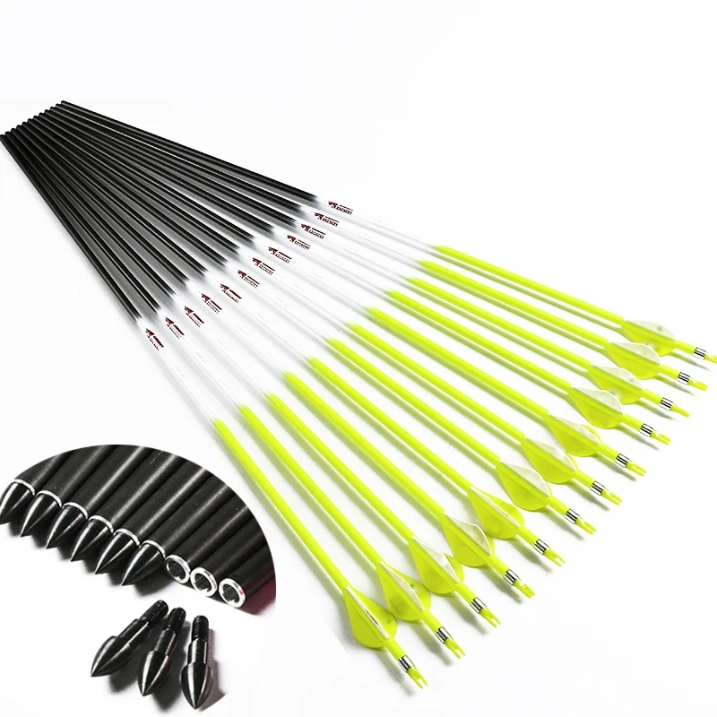 12PCS Archery Carbon Arrows Spine 300 340 400 500 600 700 800 75gr Points 2inch Plastic Vanes for Compound Recurve Bow Hunting