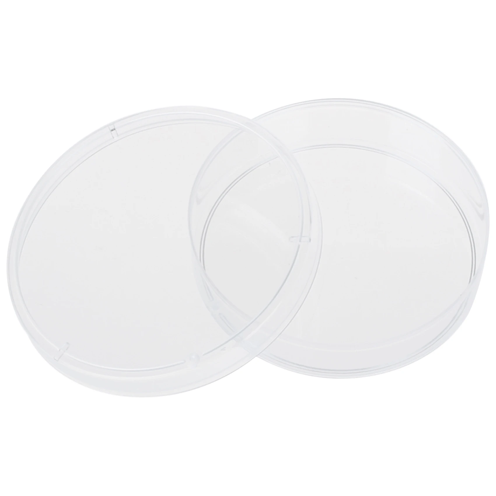 

10 pcs 60mm x 15mm polystyrene dishes with lids Clear