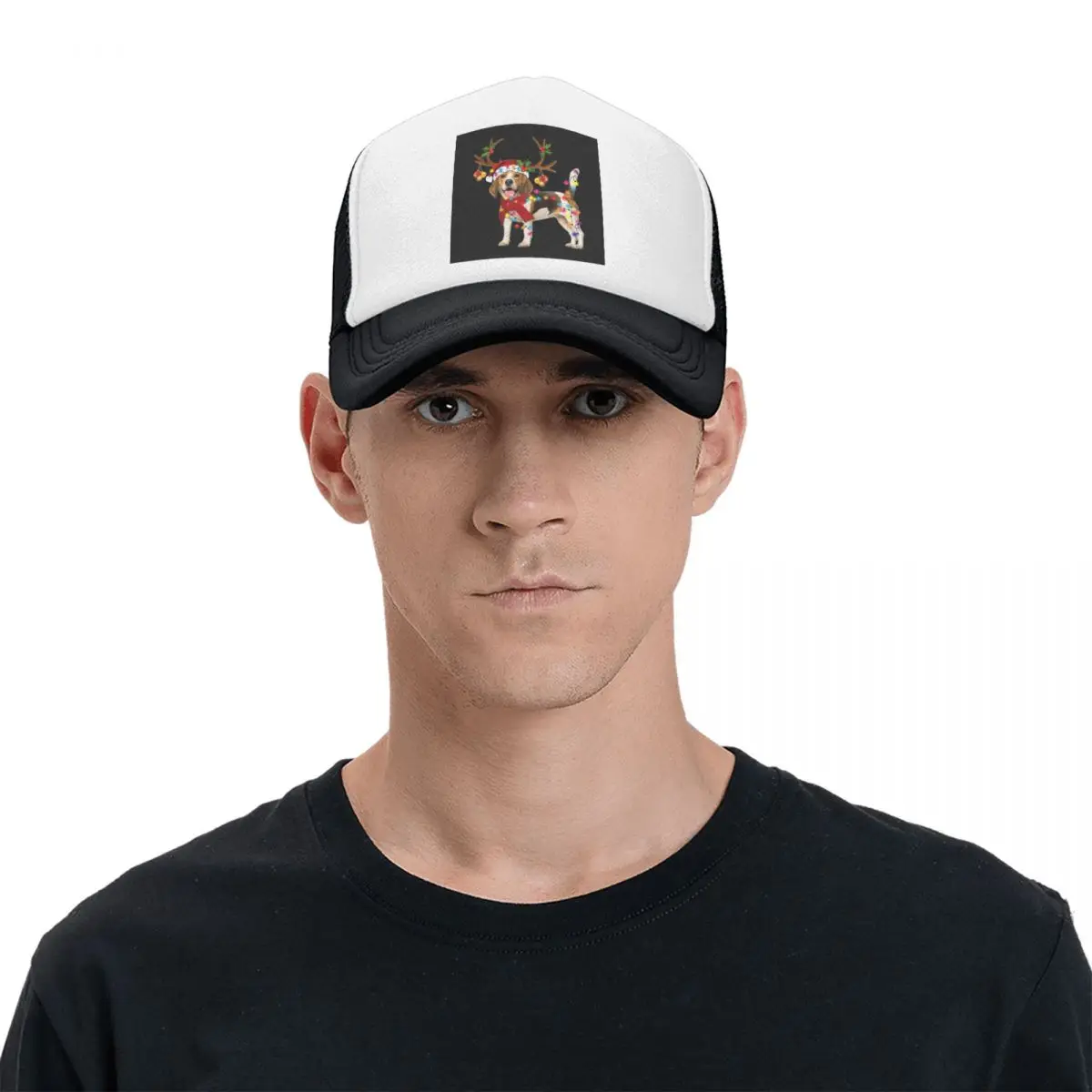 Рисунок 4 - Бейсболка Beagle