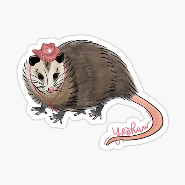 

Наклейки Yeehaw Possum 5 шт. для декора ноутбука, комнаты, художественный фон, окно, украшения автомобиля, бампер, гостиная, милые наклейки