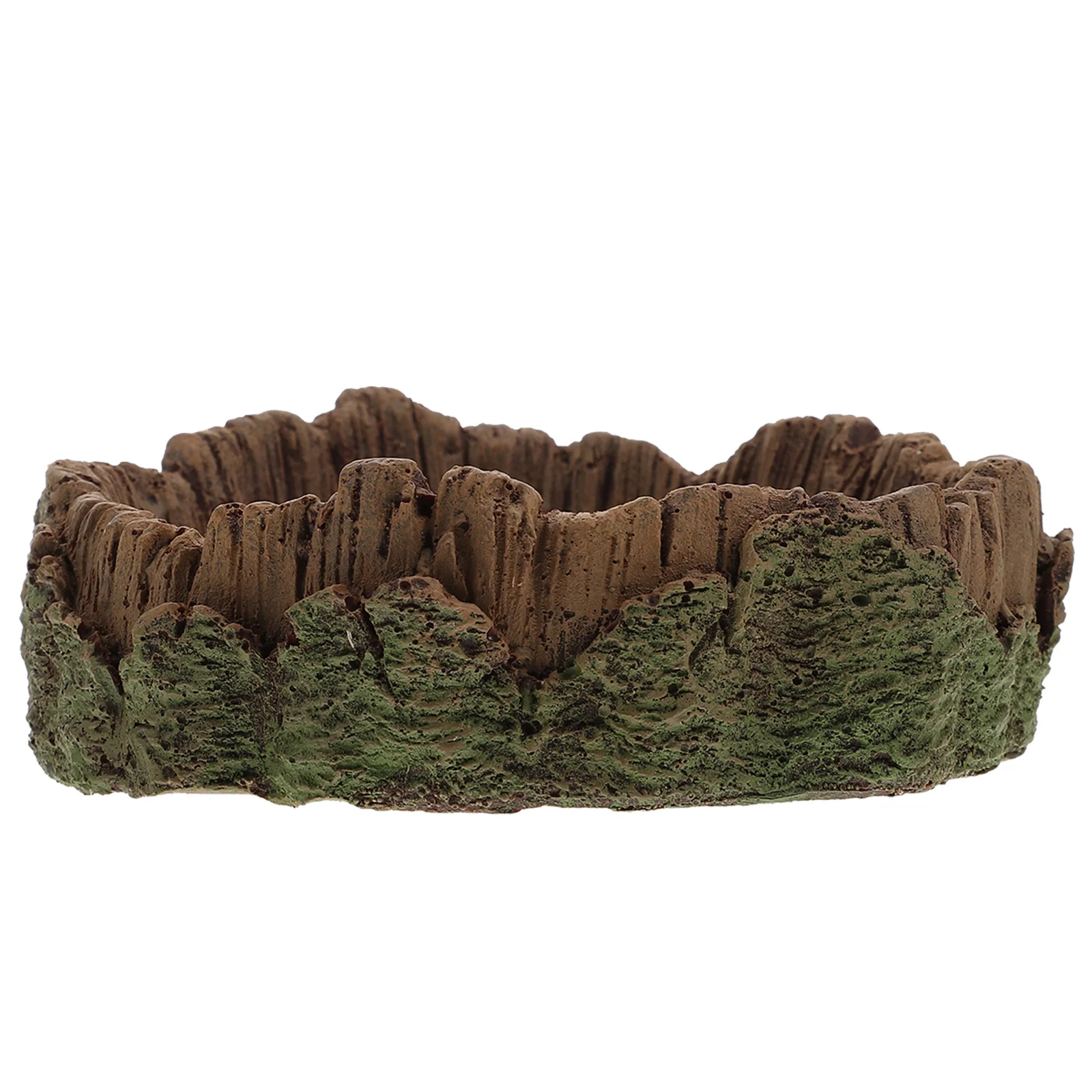 

Feeder Pet Food Feeder Lizard Water Basin Reptile Food Feeder for Storage Pet Cage Reptile