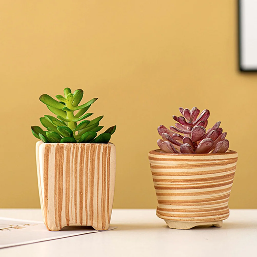 

2 Pcs Succulent Plants Flowerpot Decoration Office Ceramics Succulents Planter Pots