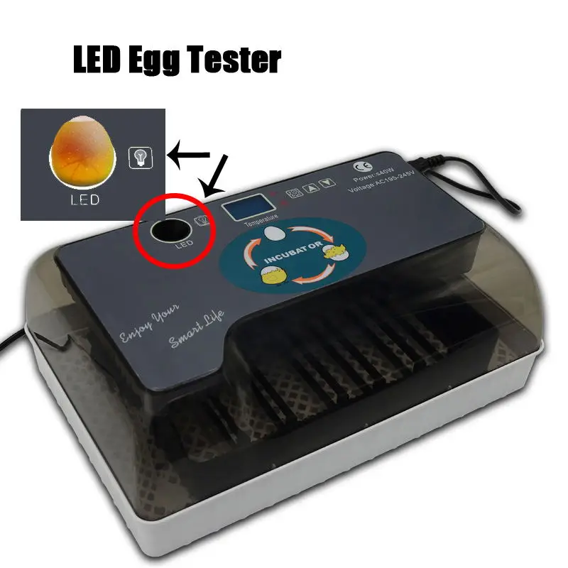 HHD 12 Incubator Fully Automatic 35 Quail Eggs Digital Poultry Hatching Machine with Auto Egg Turn Temp Control Led Candler | АлиЭкспресс HHD 12 Incubator Fully Automatic 35 Quail Eggs Digital Poultry Hatching Machine with Auto Egg Turn Temp Control Led Candler | АлиЭкспресс