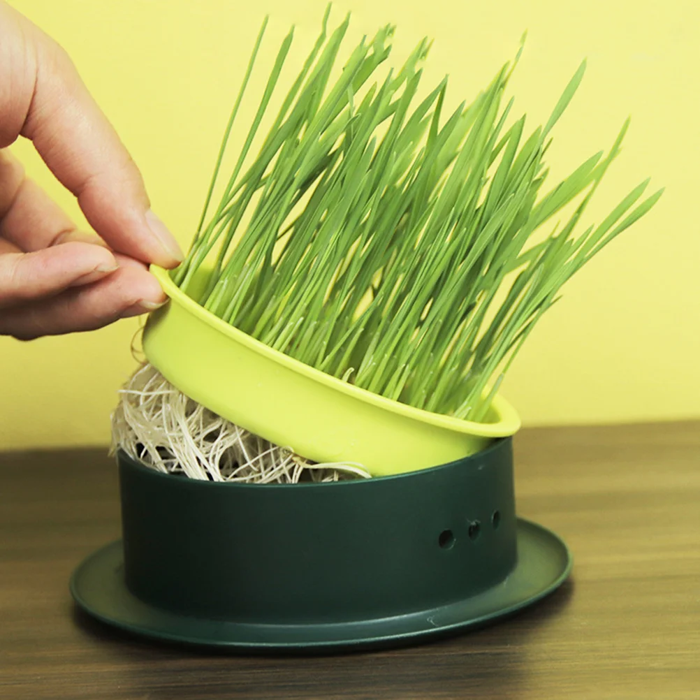 

2pcs Cat Grass Germination Tray Cat Grass Bowl Cat Grass Plants Hydroponic Tray Catnip Box