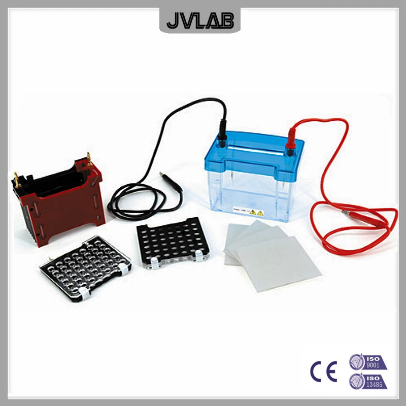 

Trans-Blotting Electrophoresis Cell Mini Transfer Electrophoresis Tank DYCZ-40D For WesternBlot Experiement Use With DYCZ-24DN