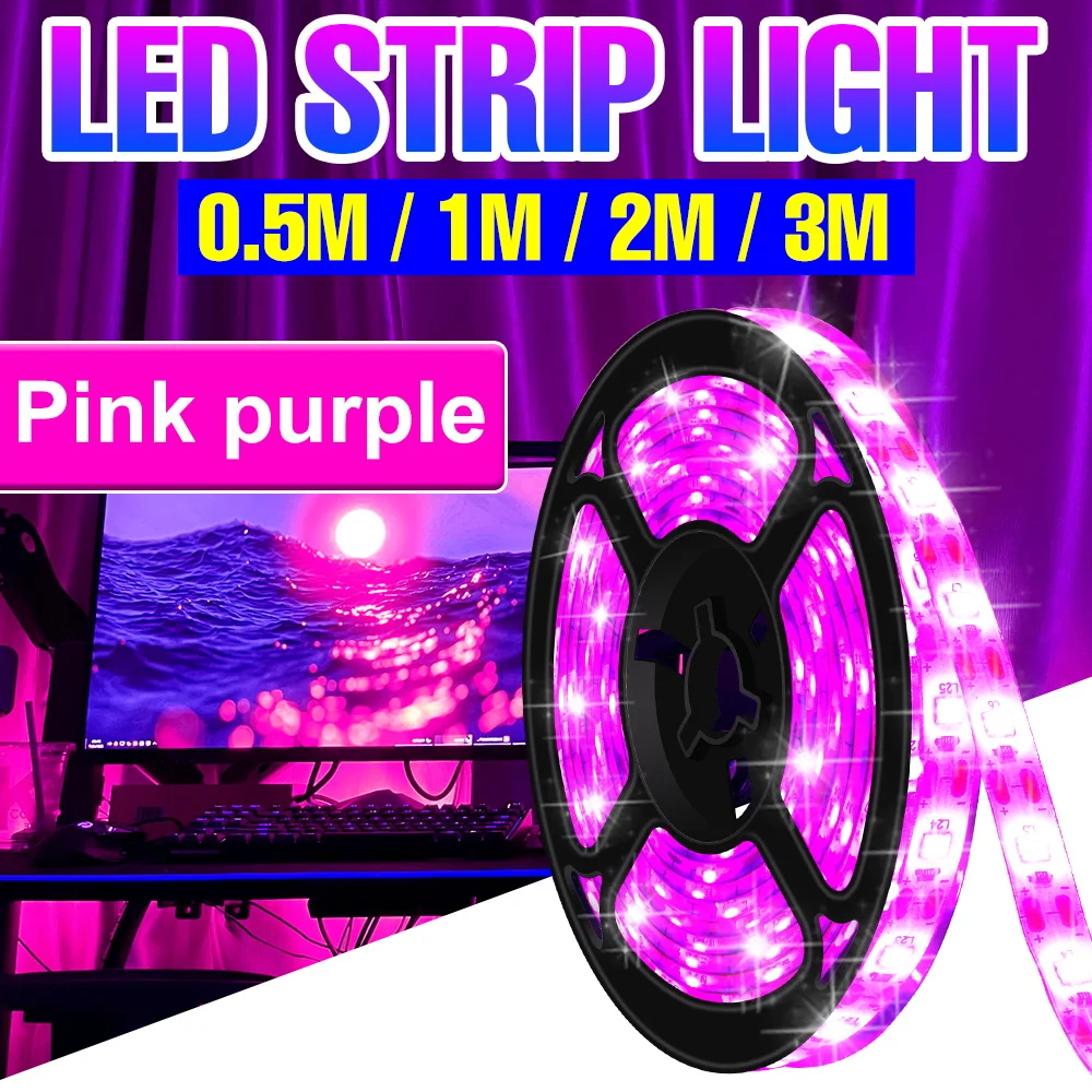 

LED Strip Light USB Neon Night Lamp LED Strip Flexible Light 2835 TV BackLight 50cm 1m 2m 3m Room Decorate Waterproof Lighting