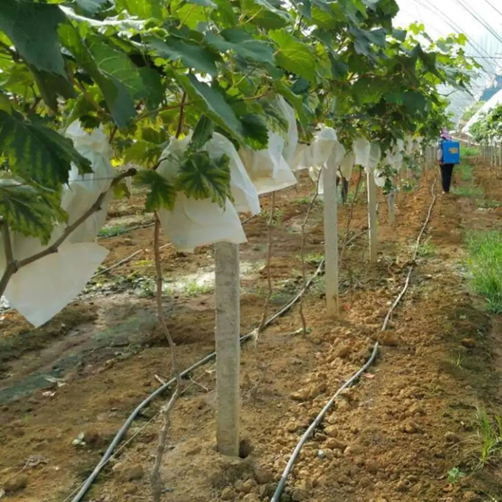 

Great Fruit Protection Bag Corrosion-resistant Lightweight Garden Vegetable Grapes Bags Sturdy Netting Bags for Plant