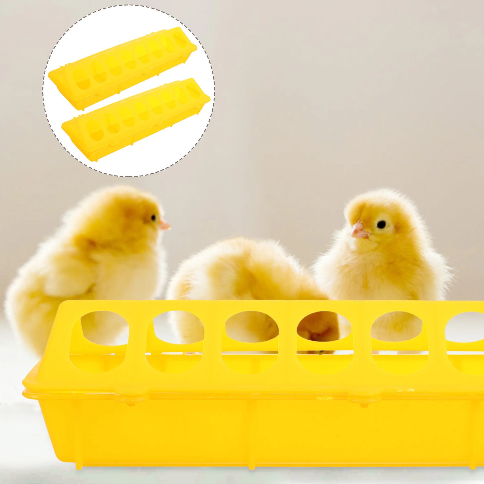 

2 Pcs Feeding Water Feeder Pigeon Cage Food Boxes Container Trough Plastic Bird Poultry Feeders Chicken Baby Birdcage Bowl